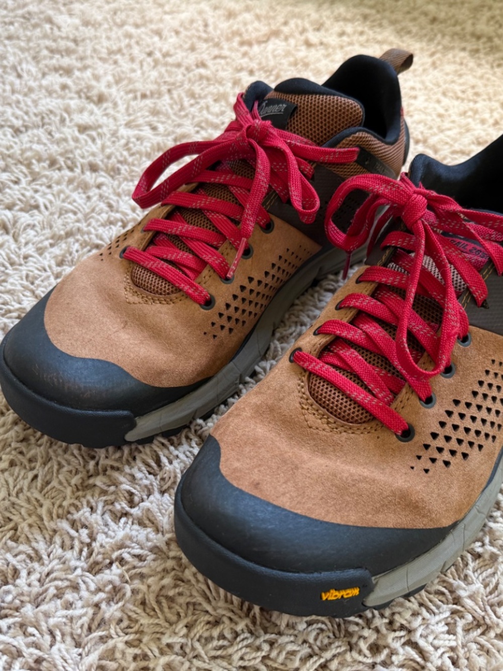 Danner Trail 2650 Men's Hiking Shoes